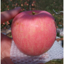 Apple de China no embolsado fresco dulce rojo FUJI Apple